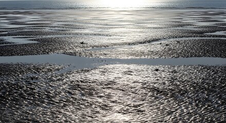 Coastal Mudflat Landscape with Sunlight Reflection