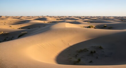 Desert Landscape with Sand Dunes and Blue Sky