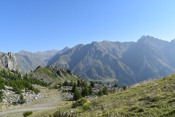 Fototapeta premium Plaines rocheuses parsemées de sapin, face aux montagnes des Alpes, en plein été.