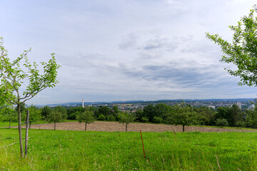 Scenic rural landscape with skyline in the background at Swiss city of Zürich on a spring day....