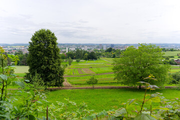 Scenic rural landscape with skyline in the background at Swiss city of Zürich on a spring day....