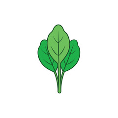 green plant isolated on white background