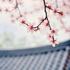 Cherry Blossoms in Spring Over Japanese Temple Roof