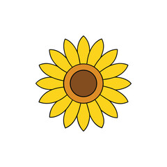 sunflower isolated on white
