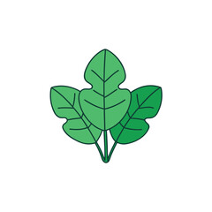 green leaf clover vector art 