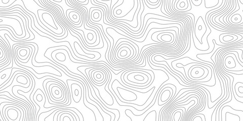 Panorama view gradient multicolor wave curve lines banner background design. Vector illustration. wave Line topography map contour background .Abstract Topographic map background with wave line.