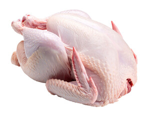 Raw whole chicken lying on transparent background