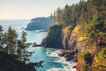 Rugged Coastal Cliffs With Evergreen Forest ocean