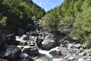 Cour d'eau passant entre les rochers, au milieu d'une forêt en montagne.