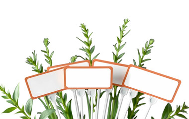 Plant label stakes with blank writing area, plastic material, grouped in a fan arrangement, 3D render PNG.
