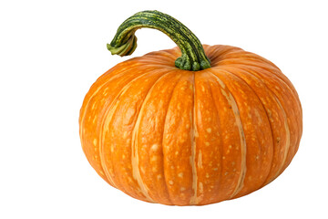 Obraz premium orange pumpkin for halloween and thanksgiving day seasonal autumn harvest vegetable isolated on transparent background
