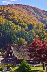 世界遺産　白川郷合掌造り集落　秋景色