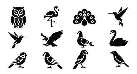 Fototapeta premium Vector silhouette illustration a collection of bird silhouettes including an eagle and a pigeon