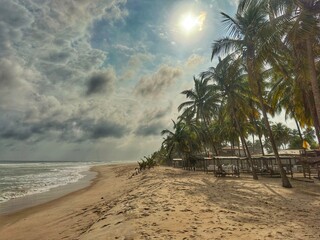  Océan et plage sous les palmiers 