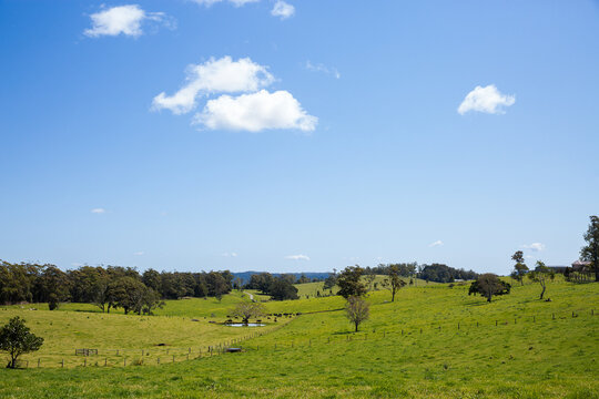dairy farm with rolling hills, distant dam and blue sky with white clouds