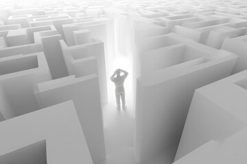 Lost in the Maze: A Man Facing Life's Crossroads.