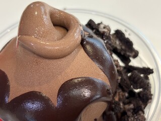 Ice Cream Chocolate with Cookie 