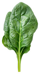Obraz premium PNG Spinach vegetable spinach natural.