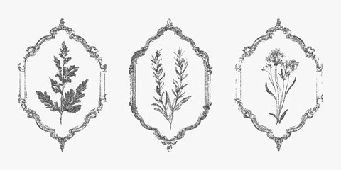 Obraz premium Three flower designs in black frame. Vintage stipple drawing, noisy halftone shading, photocopy look and threshold edges, old print vibe.