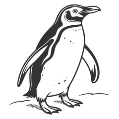Obraz premium Cute cartoon penguin vector illustration, isolated on white, perfect for winter or Arctic nature designs