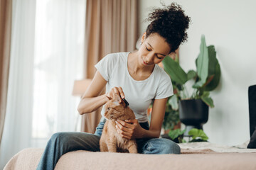 Smiling beautiful African American woman grooming her ginger cat in cozy bedroom at home