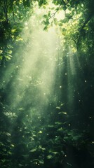Sunlight Streaming Through Lush Forest Canopy with Green Leaves