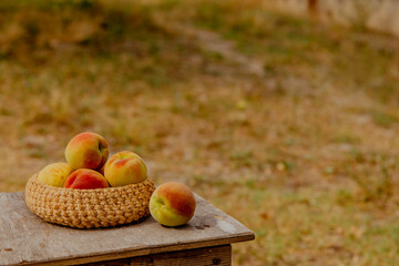 A woven basket filled with ripe peaches rests on a wooden table, set against a natural background.