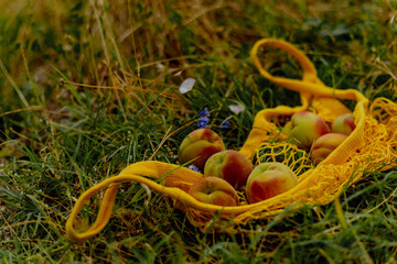 A yellow mesh bag filled with fresh peaches rests on green grass, surrounded by wildflowers. The scene captures the essence of summer and nature's bounty.