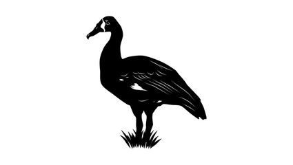 Spur-winged Goose, black isolated silhouette