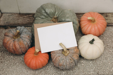Autumn themed still life with variety of colorful pumpkins, gourds arranged around blank white greeting card mockup and envelope on doorstep background. Seasonal message, invitation. Top view