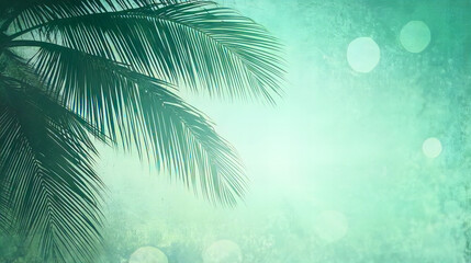 Tropical Palm Tree Silhouettes and Fronds on Pastel Sky Backgrounds for Summer, Travel, and Nature-Themed Design

