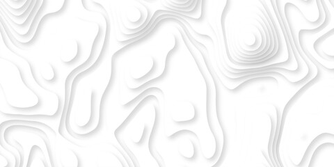 The patter discovery vector white papercut creative discovery White wave grid stripe light decoration luxury banner web design.	