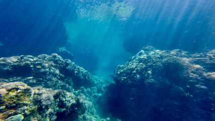 Sun rays inside an underwater cave. View from an underwater cave and sun rays passing through the thickness of the water. Underwater rocks and canyon.