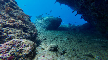 Underwater cliff. View of rocks and rock formations underwater. Rocky seabed with clear transparent water.