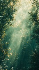Sunlight Streaming Through Forest Canopy with Green Leaves