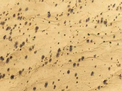 Aerial view of arid landscape etched with dry riverbeds and sparse vegetation creating a textured tapestry of tans and browns, Namib Desert, Namibia.