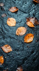 Fallen Autumn Leaves on Dark Stone Surface After Rain