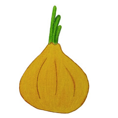 Onion