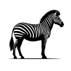 Zebra 22 Vector Artwork – Bold Striped Animal Graphic Design