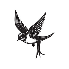 Elegant Black and White Swallow in Flight