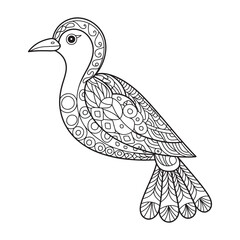 Intricate Bird Coloring Page Design for Adults