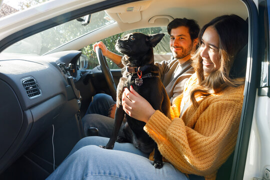 A man and a woman in a car with their dog about to go on a holiday