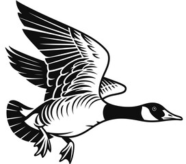 Obraz premium Black and white illustration of a Canada goose in flight