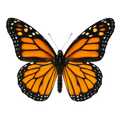 Fototapeta premium Monarch butterfly with open wings isolated on transparent background