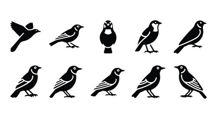 Fototapeta premium Silhouette set of black bird, sparrow, finch, avian silhouettes - Vector silhouette illustration