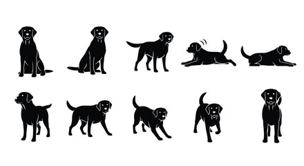 Fototapeta premium silhouette set of dog, labrador, retriever, pet, animal, canine - Vector silhouette illustration 