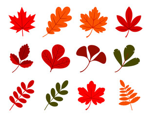 autumn leaves set of illustration