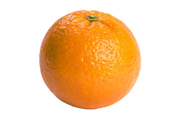 orange on a transparent background
