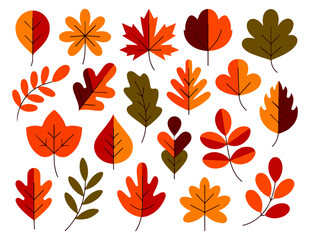 autumn leaves set of illustration