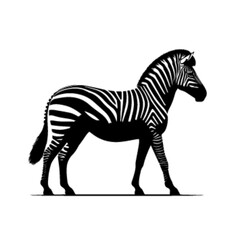 Artistic Zebra Vector Design – Zebra 29 Illustration